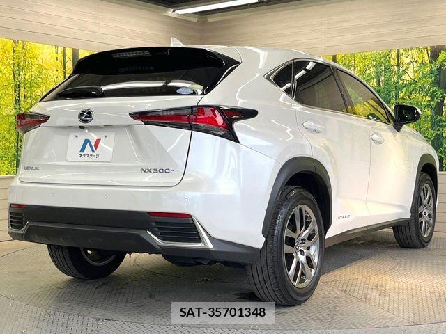 Lexus NX 2020-10 7962422-16