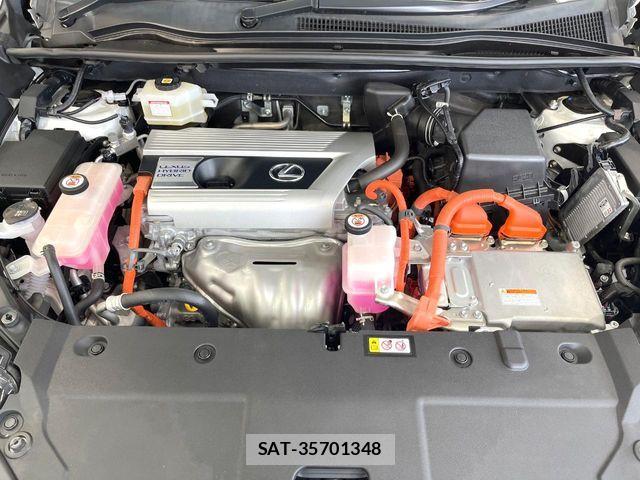 Lexus NX 2020-10 7962422-19