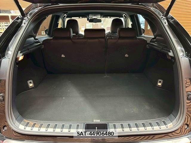 Lexus NX 2015-07 7962435-12