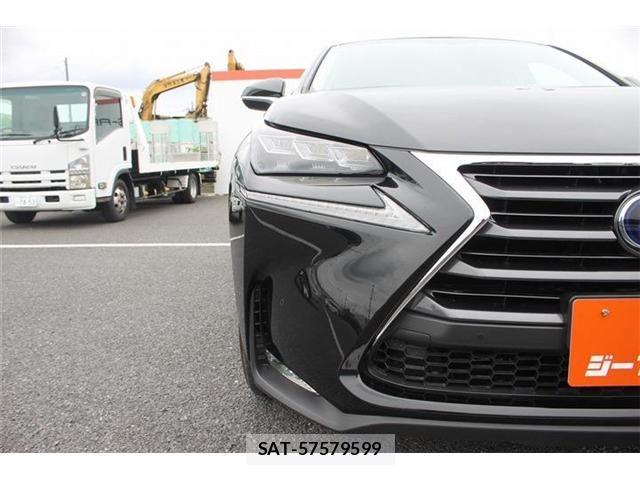Lexus NX 2015-09 7962436-12