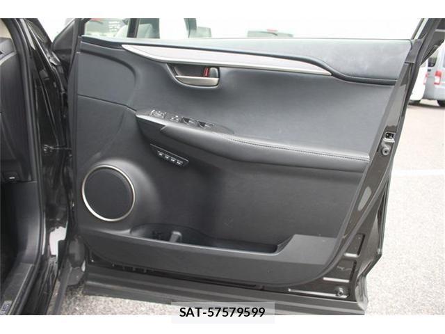 Lexus NX 2015-09 7962436-17