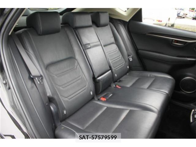 Lexus NX 2015-09 7962436-19