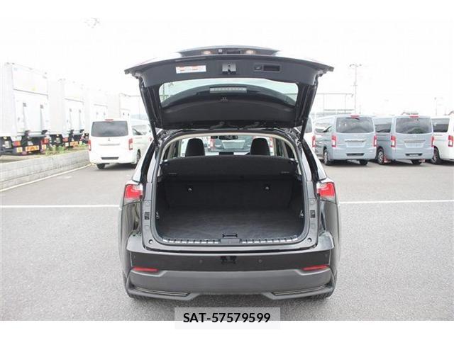 Lexus NX 2015-09 7962436-28