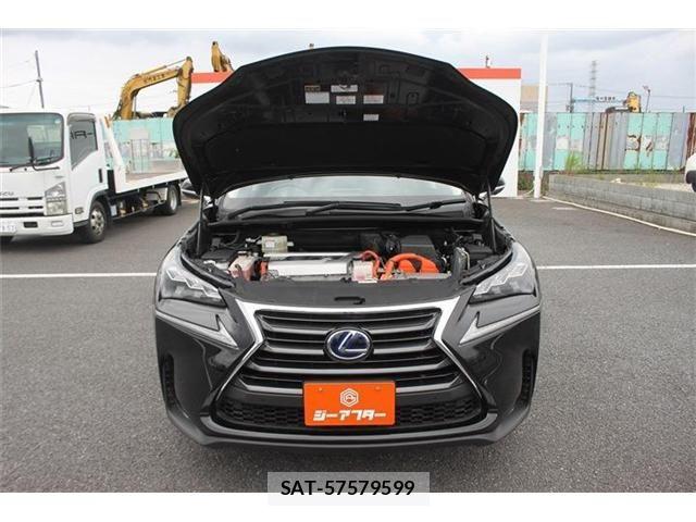 Lexus NX 2015-09 7962436-29