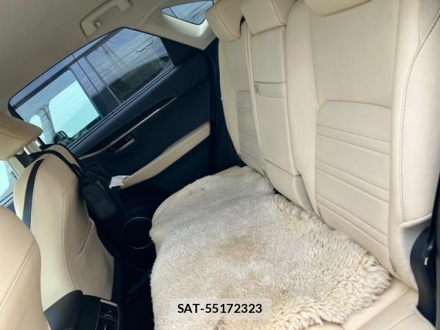 Lexus NX 2014-11 7962437-14