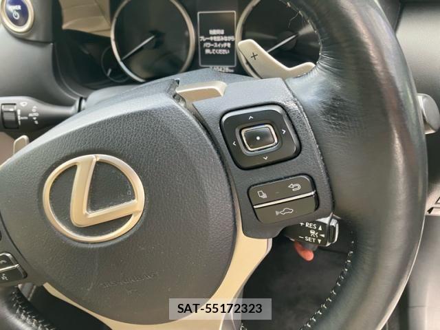 Lexus NX 2014-11 7962437-21