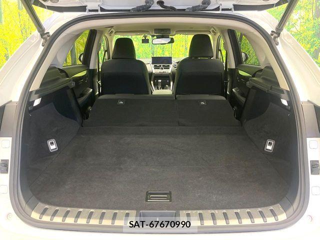 Lexus NX 2020-11 7962430-9