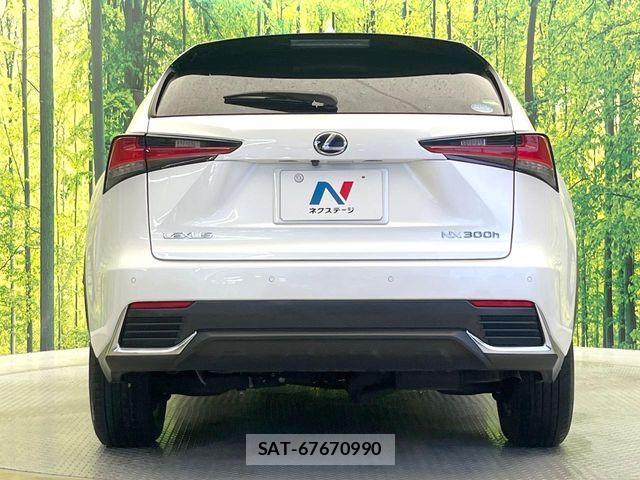 Lexus NX 2020-11 7962430-14