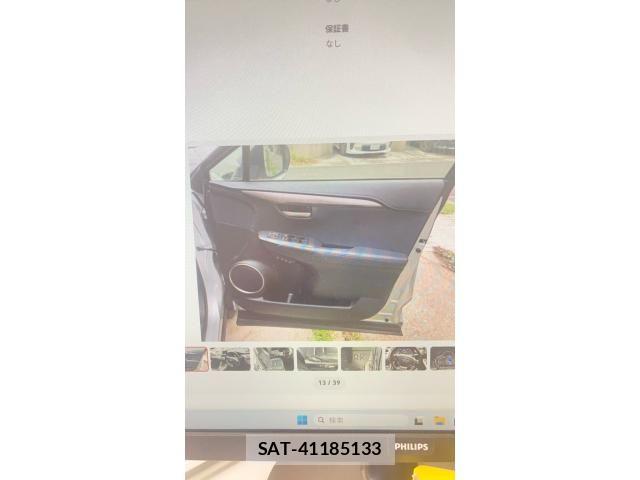 Lexus NX 2016-11 7979781-11
