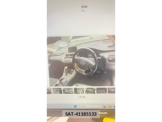 Lexus NX 2016-11 7979781-12