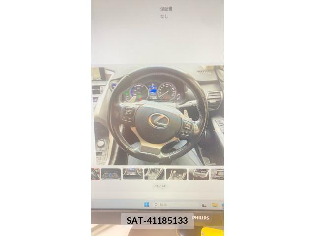 Lexus NX 2016-11 7979781-16