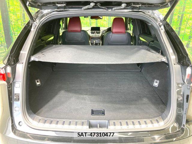Lexus NX 2016-07 7979772-9