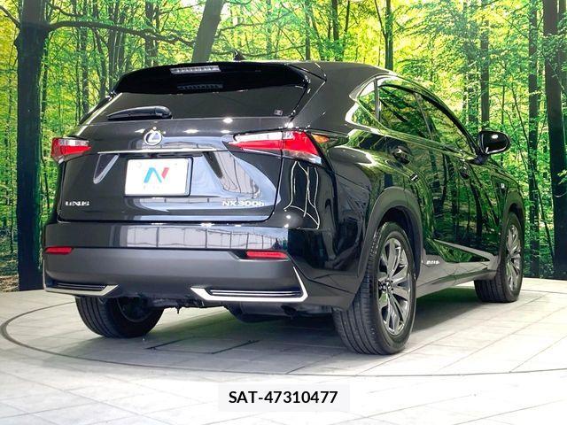 Lexus NX 2016-07 7979772-16