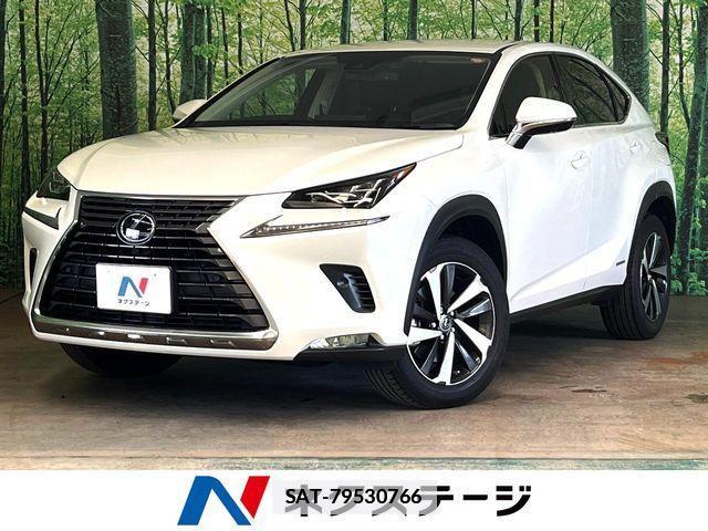 Lexus NX 2019-10 7979770-0