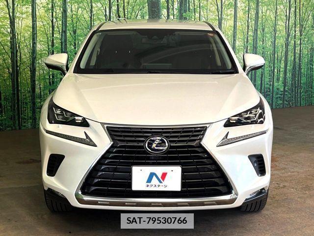 Lexus NX 2019-10 7979770-9