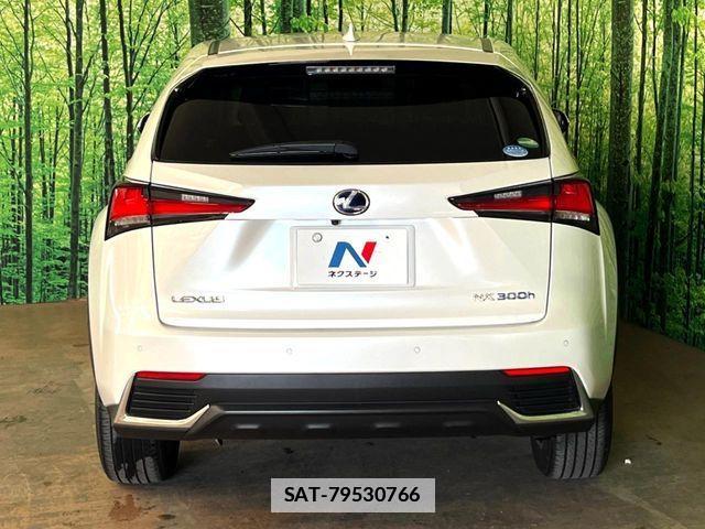 Lexus NX 2019-10 7979770-10