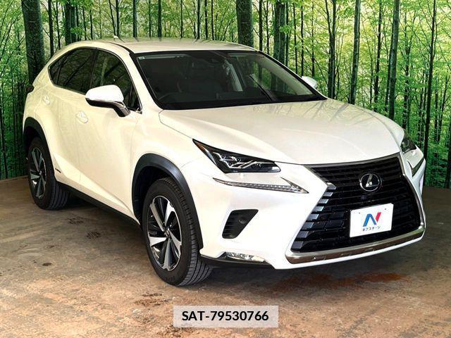 Lexus NX 2019-10 7979770-11