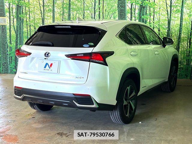 Lexus NX 2019-10 7979770-12