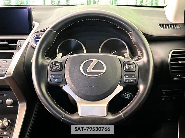 Lexus NX 2019-10 7979770-13