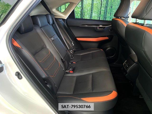 Lexus NX 2019-10 7979770-16