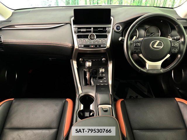 Lexus NX 2019-10 7979770-1