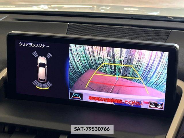 Lexus NX 2019-10 7979770-3