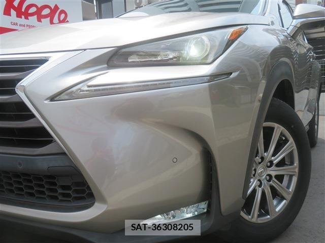 Lexus NX 2014-09 8036460-4