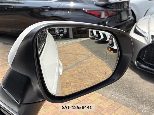 Lexus NX 2019-03 8036455-9