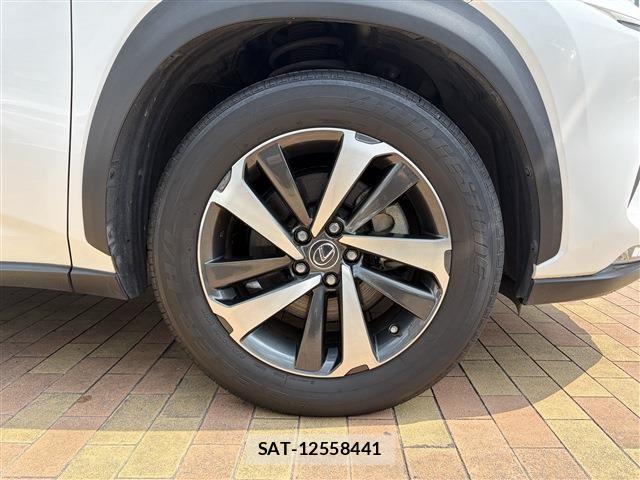 Lexus NX 2019-03 8036455-10