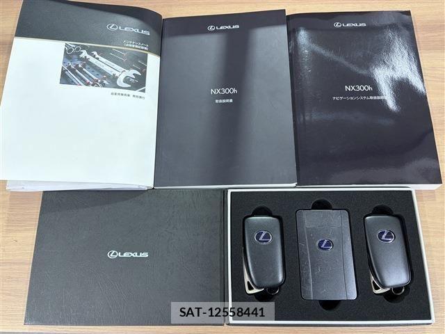 Lexus NX 2019-03 8036455-11