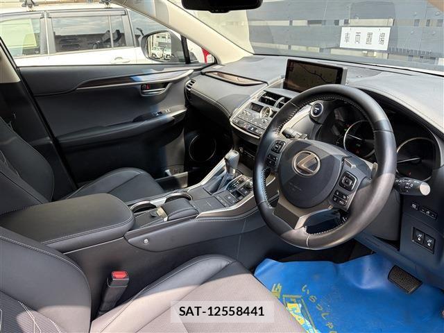 Lexus NX 2019-03 8036455-13