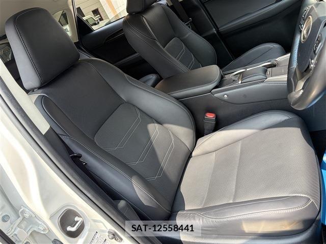 Lexus NX 2019-03 8036455-14
