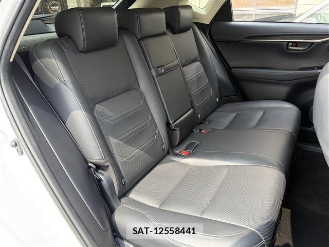 Lexus NX 2019-03 8036455-17