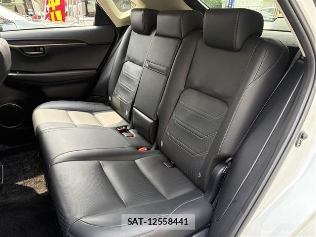 Lexus NX 2019-03 8036455-18