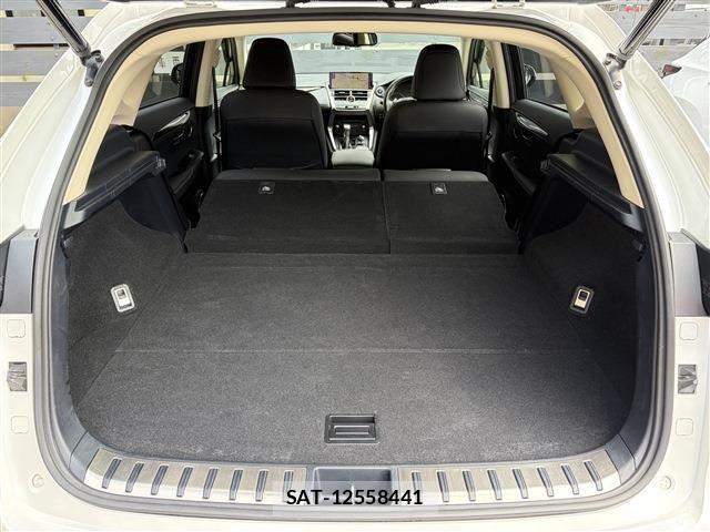 Lexus NX 2019-03 8036455-19