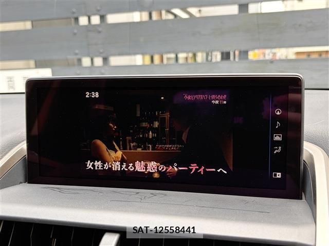 Lexus NX 2019-03 8036455-22