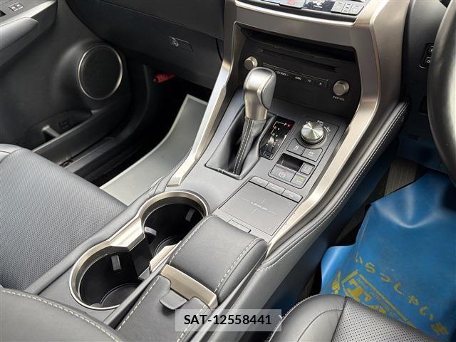 Lexus NX 2019-03 8036455-23