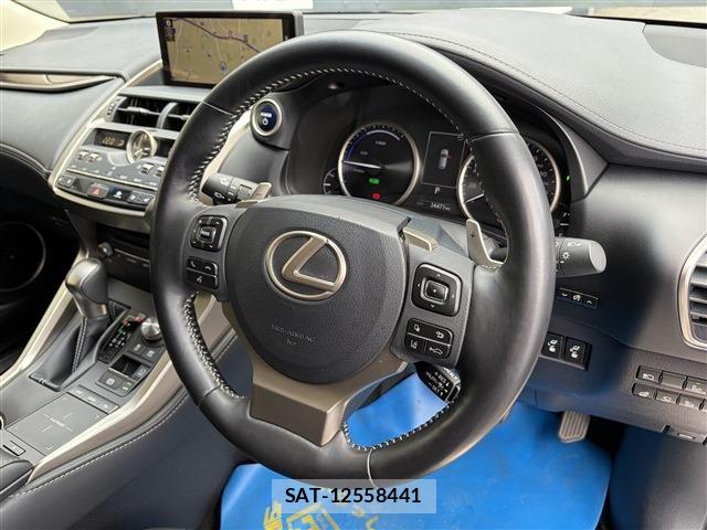 Lexus NX 2019-03 8036455-24