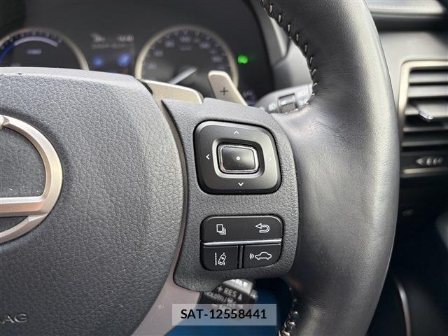 Lexus NX 2019-03 8036455-26