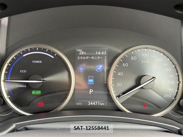 Lexus NX 2019-03 8036455-29