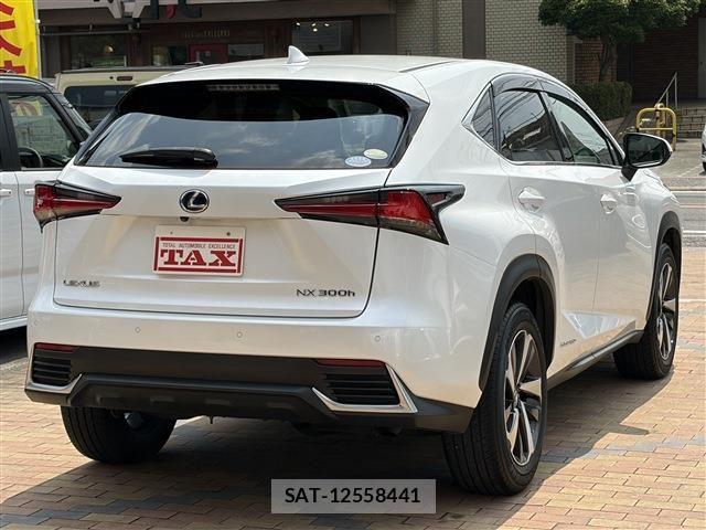 Lexus NX 2019-03 8036455-3