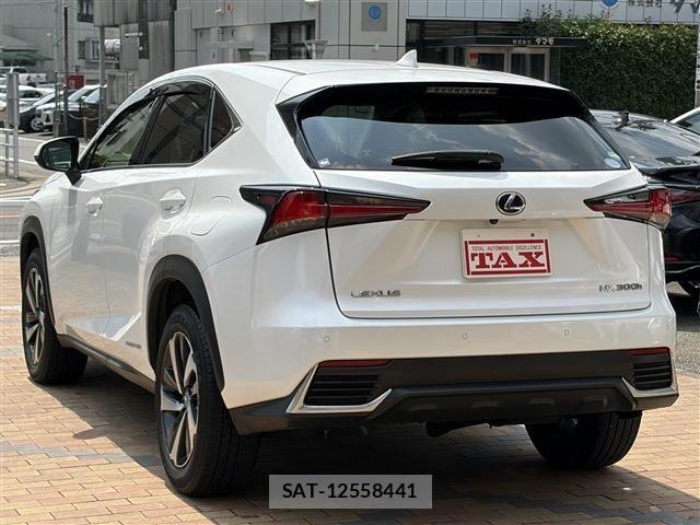 Lexus NX 2019-03 8036455-4
