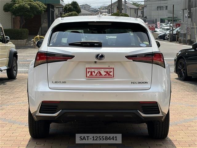Lexus NX 2019-03 8036455-5