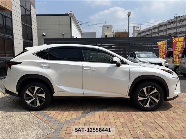 Lexus NX 2019-03 8036455-6