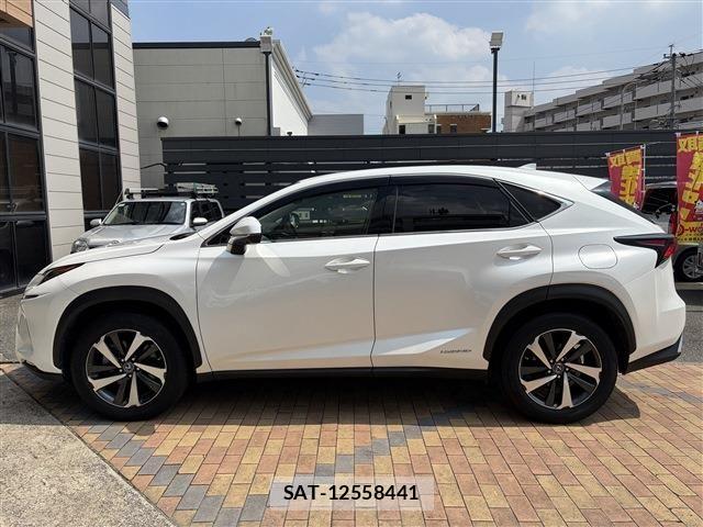 Lexus NX 2019-03 8036455-7