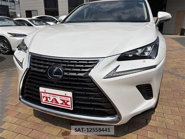 Lexus NX 2019-03 8036455-8