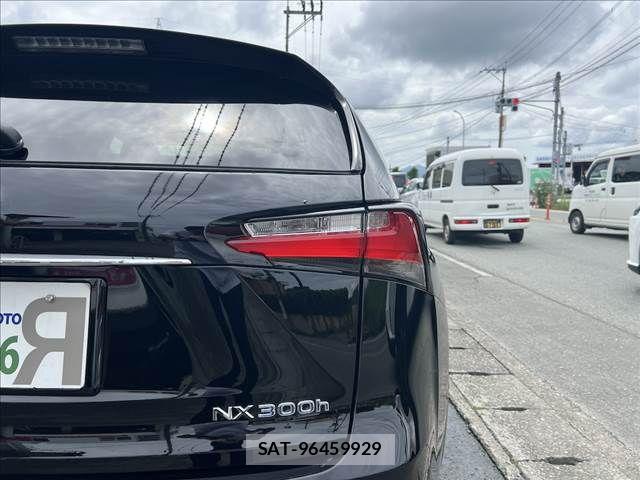 Lexus NX 2015-06 8036461-9