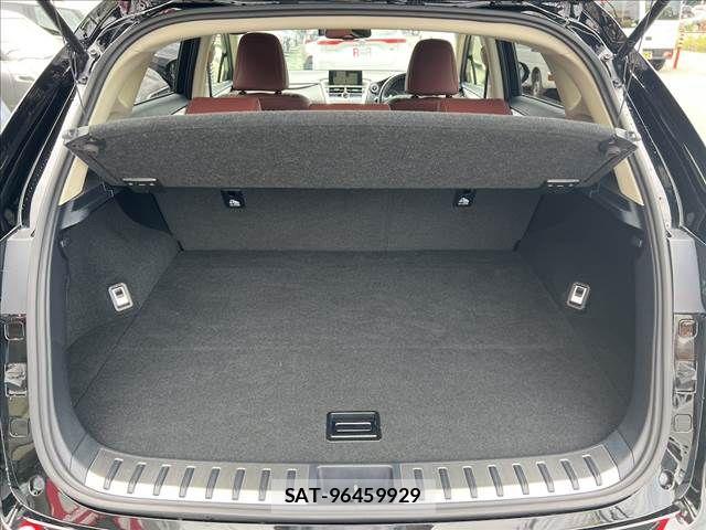 Lexus NX 2015-06 8036461-10