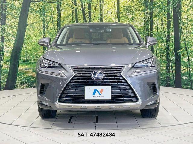 Lexus NX 2020-12 8036450-13