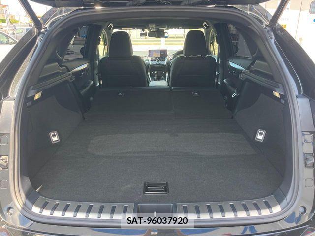 Lexus NX 2020-05 8074359-10